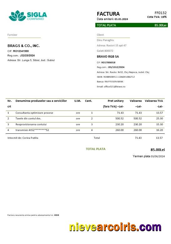 Romania SIGLA COMPANIEI business utility bill